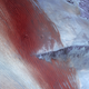 Image for article titled The Empty Quarter Is The Largest Sand Sea On The Planet